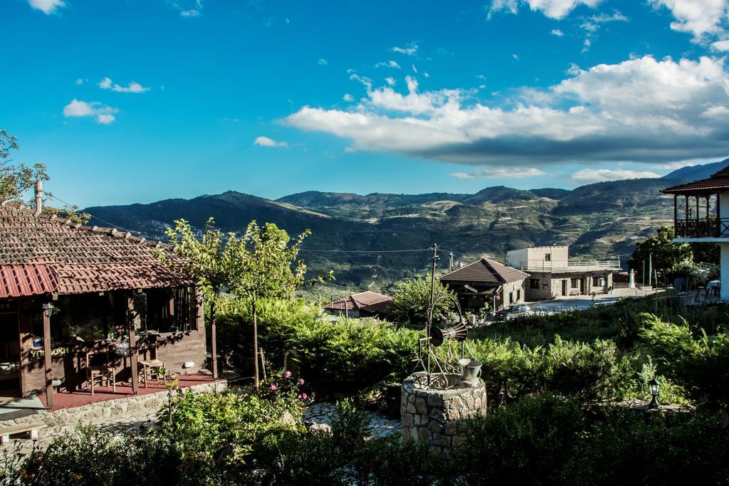 Theasis Suites-Ορεινή Φιλοξενία Kato Sinikia Trikalon Exterior photo