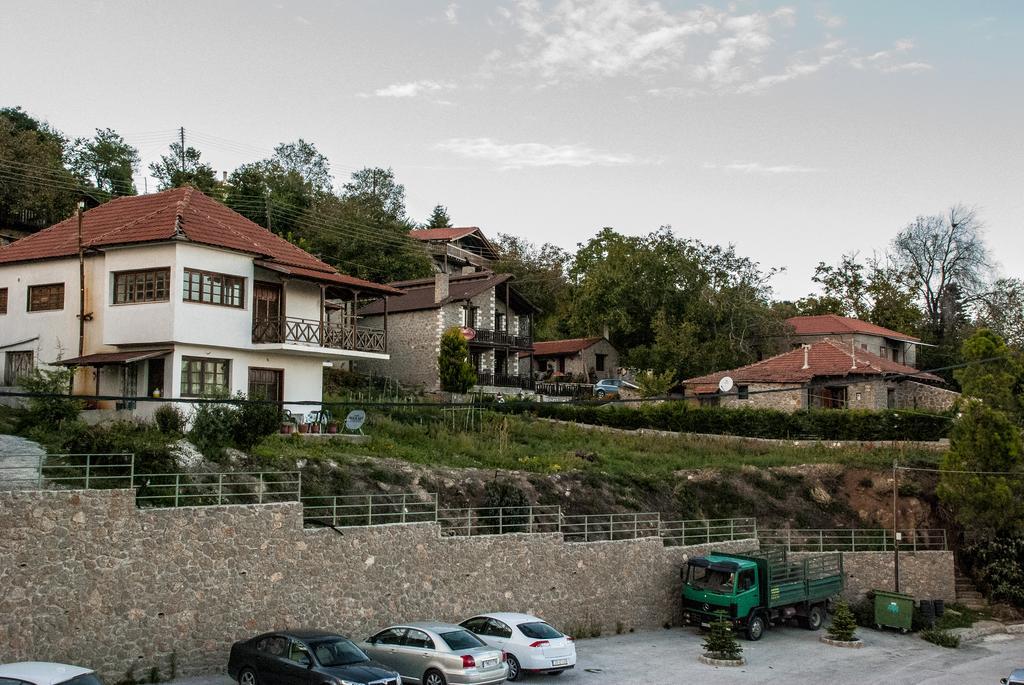 Theasis Suites-Ορεινή Φιλοξενία Kato Sinikia Trikalon Exterior photo